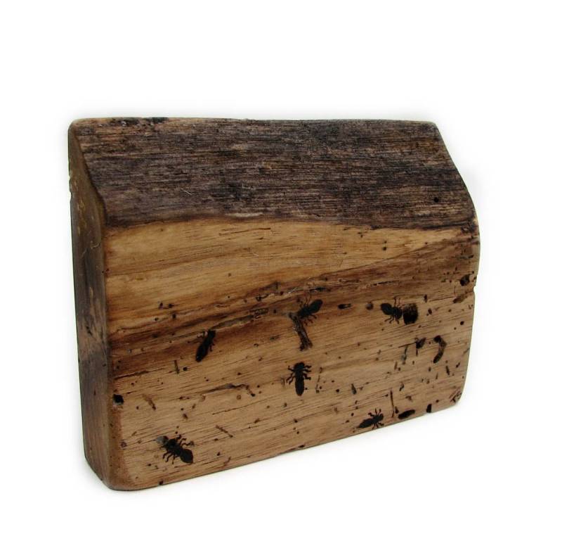 Ihre Ganz Eigene Ameisenkolonie - Eco-Friendly Upcycled Rustikal Natur Nussbaum Brandmalerei Holz Von Tanja Sova von tanjasova