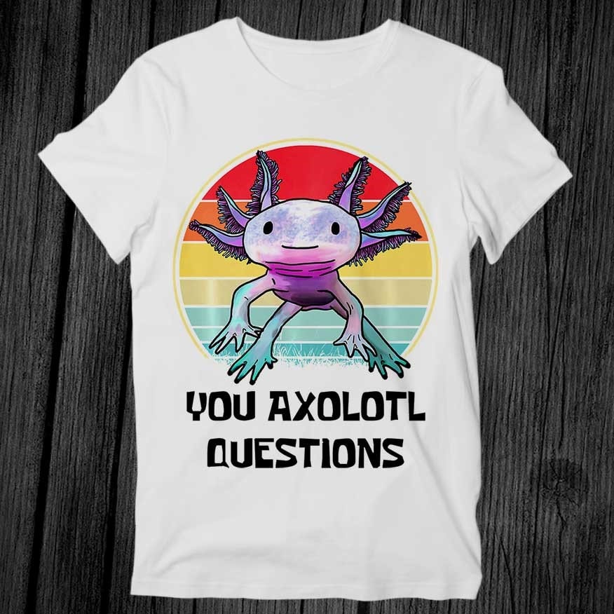 You Axolotl Questions Dnd Online Gamer D20 90Er 8Bit T Shirt Unisex Erwachsene Männer Damen Geschenk Cool Musik Mode Top Vintage Retro T-Shirt G328 von teeAXE