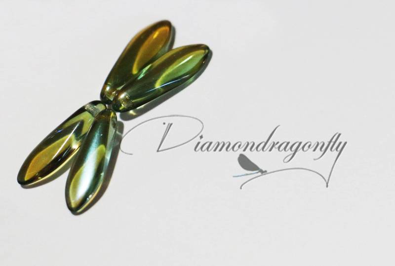 Grüne Darner Libelle Grüne Darner Libelle von thediamondragonfly