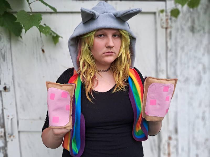 Nyan Cat Poptart Hoodie Schal Mit Handschuhtaschen Meme Cosplay Hut Kostüm Nach Maß Innerhalb Von 3 Wochen von thegeekgarden