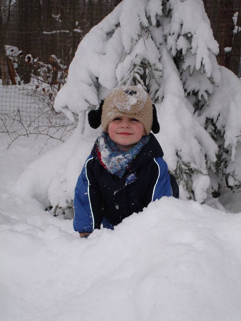 Lustige Hundemütze - Warm Und Einzigartig Wird Zur Zeit Auf Bestellung Gefertigt von theheadsaid