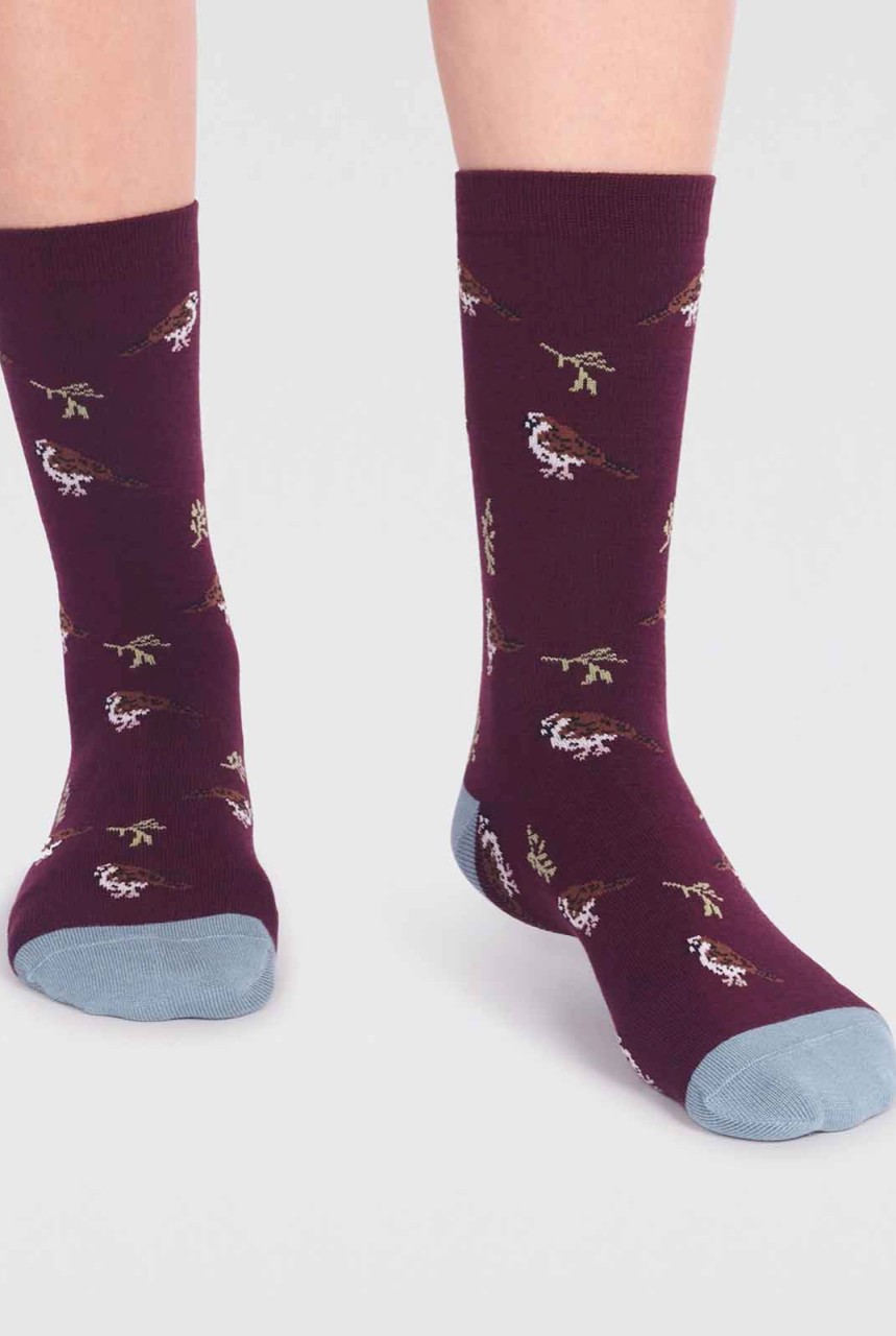 EDEN BAMBOO BIRD SOCKS | thought | vegane Socken | Auberg... 36-40 von thought