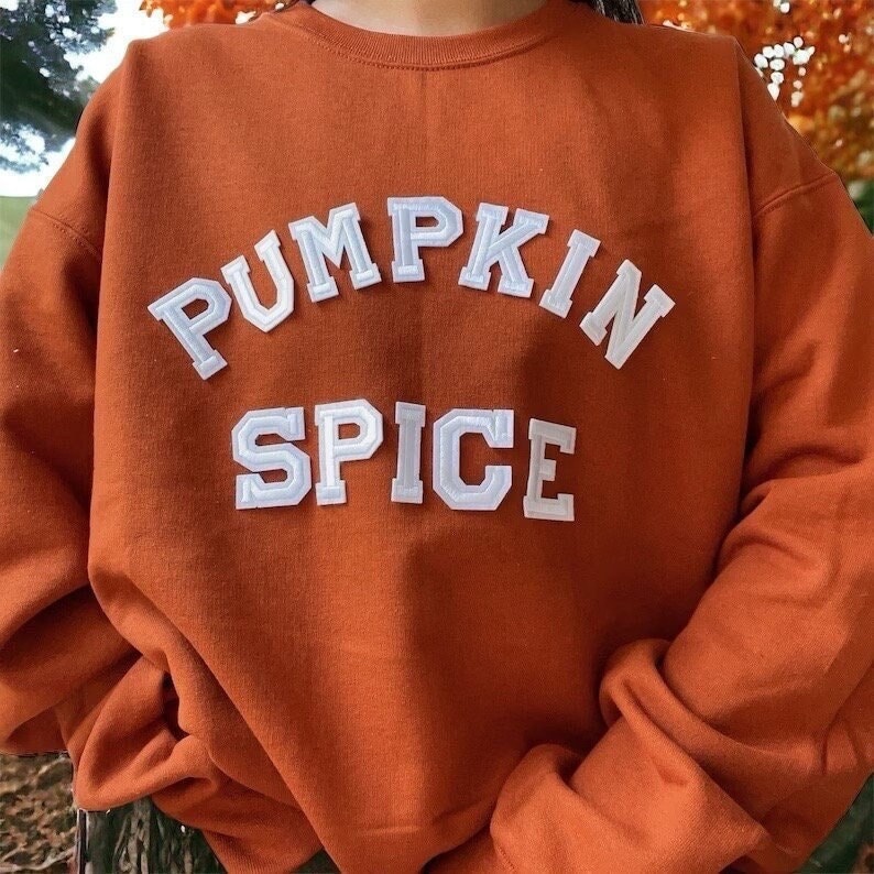 Pumpkin Spice Sweatshirt | Kürbis Gewürz Shirt Herbst Für Frauen Thanksgiving von threadsandneedlesCHI