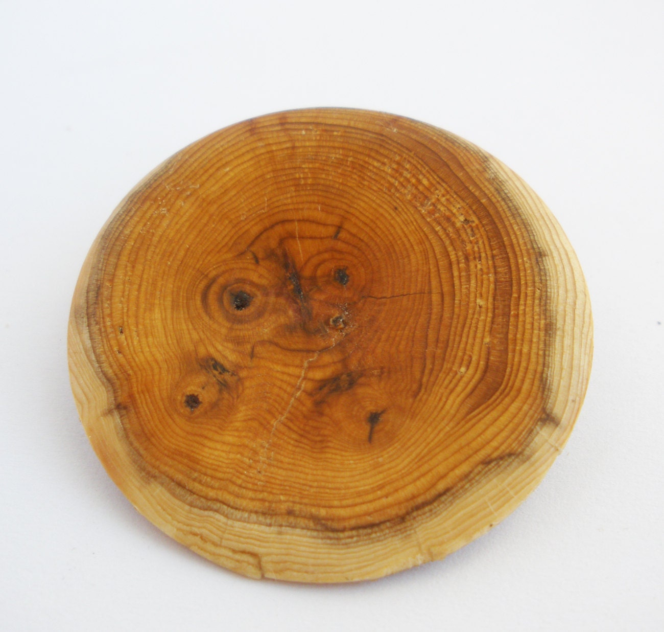 Hölzerne Brosche, Ein Glückliches Stück Eibe von tinyminds