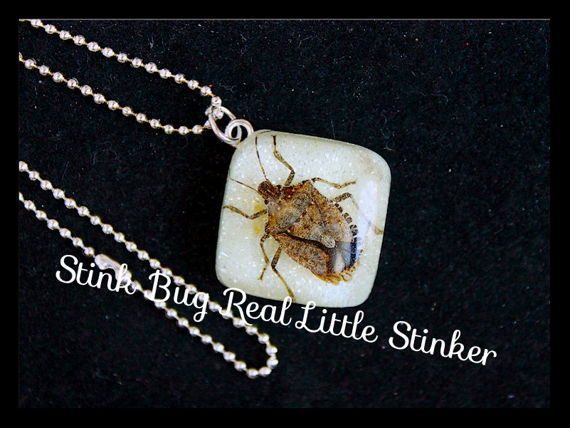 Stink Bug Halskette/Gruseliger Kleiner Stinker Echter Stinkfehler/ Glow in The Dark Glitter Harz/Halskette Schlüsselring/Ring/Erstellt Von Von'dez von tranquilityy