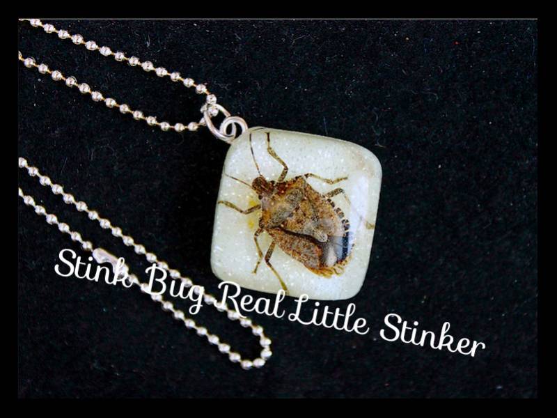 Stink Bug Halskette/Gruseliger Kleiner Stinker Echter Stinkfehler/ Glow in The Dark Glitter Harz/Halskette Schlüsselring/Ring/Erstellt Von Von'dez von tranquilityy