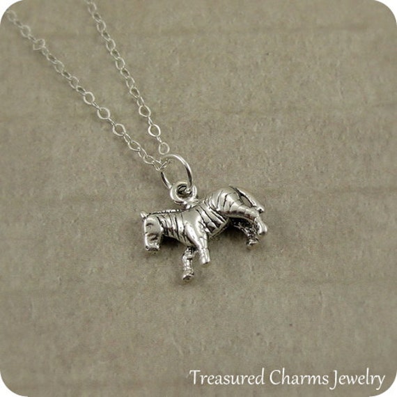 Zebra Halskette, Sterling Silber Gestreift Anhänger Auf Einem Kabel Kette von treasuredcharms