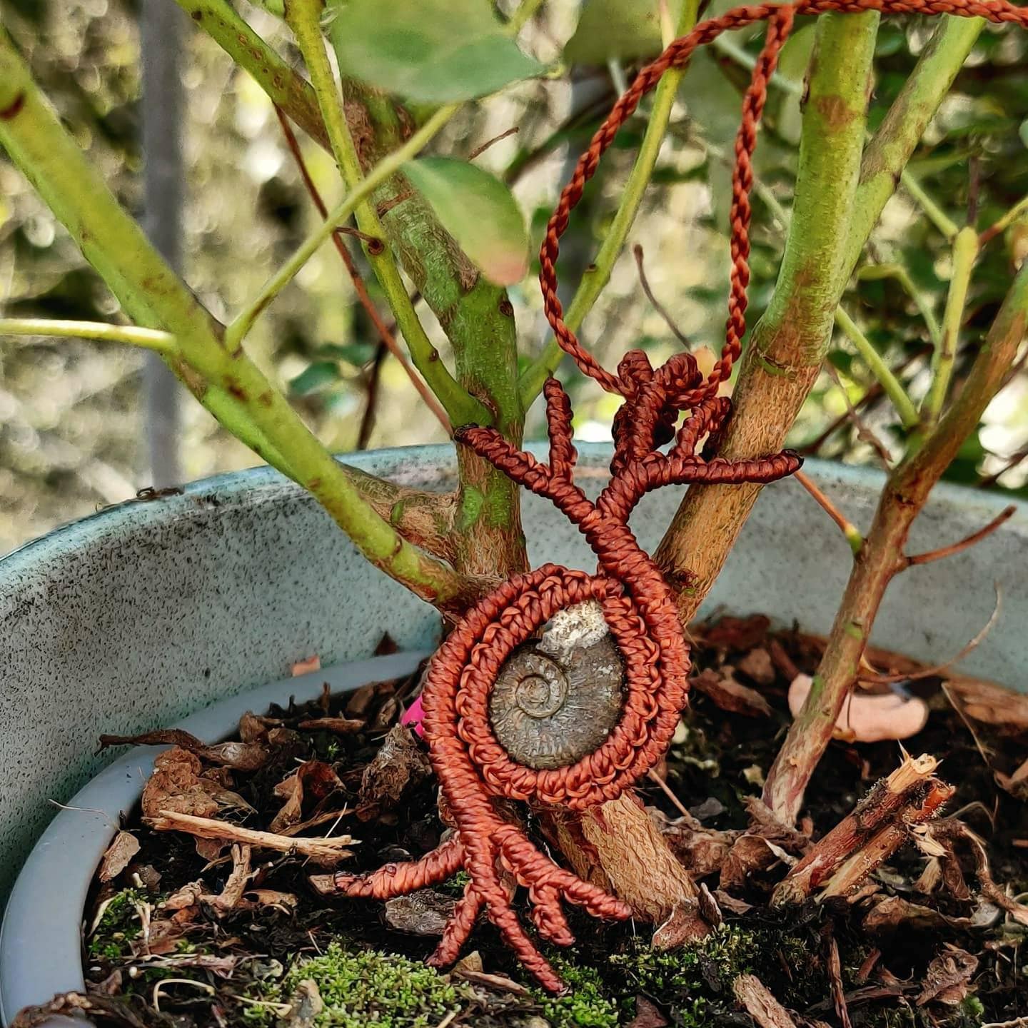 Fossil Ammoniten Makramee Halskette Baum Wurzeln/Fossil Ammonite Macrame Necklace Pendant Tree Roots Fossil Ammoniten Makramee Halskette Baum Wurzeln/Fossil Ammonite Macrame Necklace Pendant Tree Roots von treeoflifemacramee