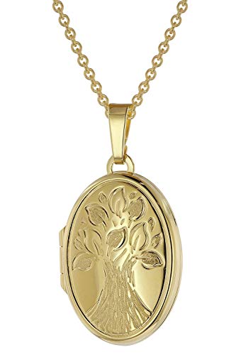 trendor Medaillon mit Kette Gold plattiertes 925 Silber zauberhafter Halsschmuck für Damen, zeitloser Anhänger für Frauen, elegante Geschenkidee, 39544-60 60 cm von trendor