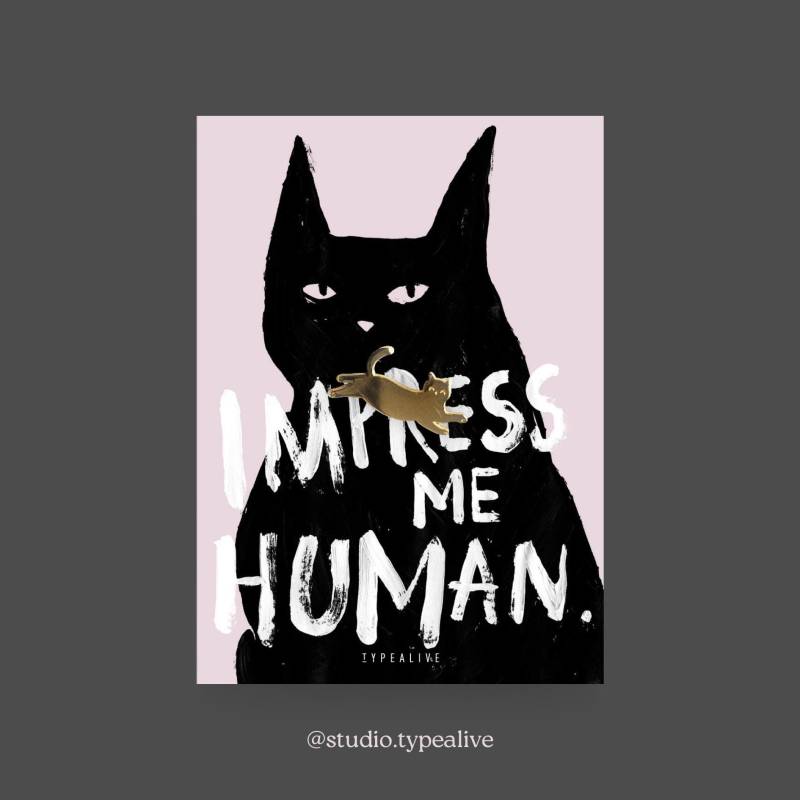 Anstecker/Impress Me Katzen-Pin Aus Messing Inkl. Karte Und Witzigem Spruch, Als Glücksbringer Oder Geschenk Für Katzenfans Anstecker/Impress Me Katzen-Pin Aus Messing Inkl. Karte Und Witzigem Spruch, Als Glücksbringer Oder Geschenk Für Katzenfans von typealive