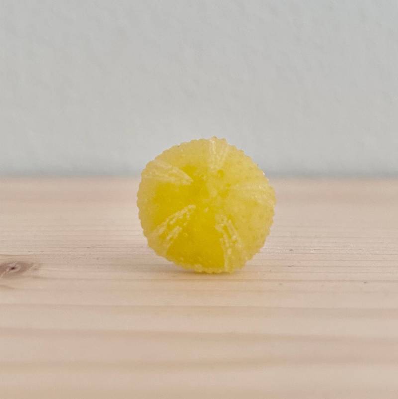 Ausgefallener Seeigel-Ring von unenvieaujourdhui