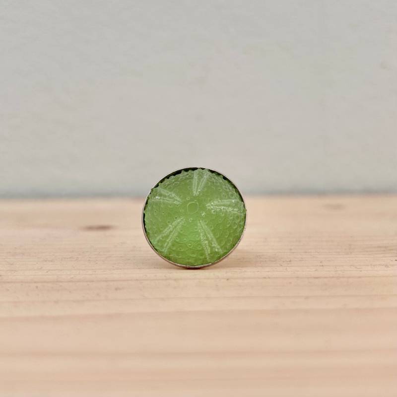 Ausgefallener Seeigel-Ring von unenvieaujourdhui