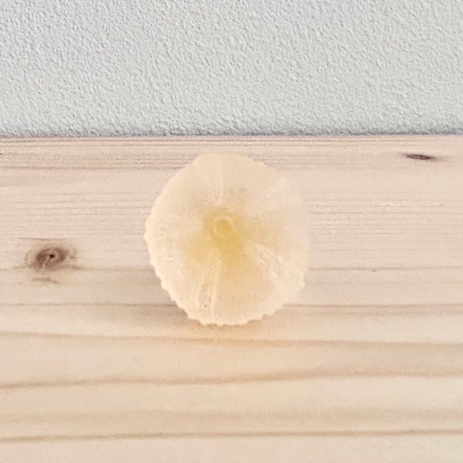 Ausgefallener Seeigel-Ring von unenvieaujourdhui