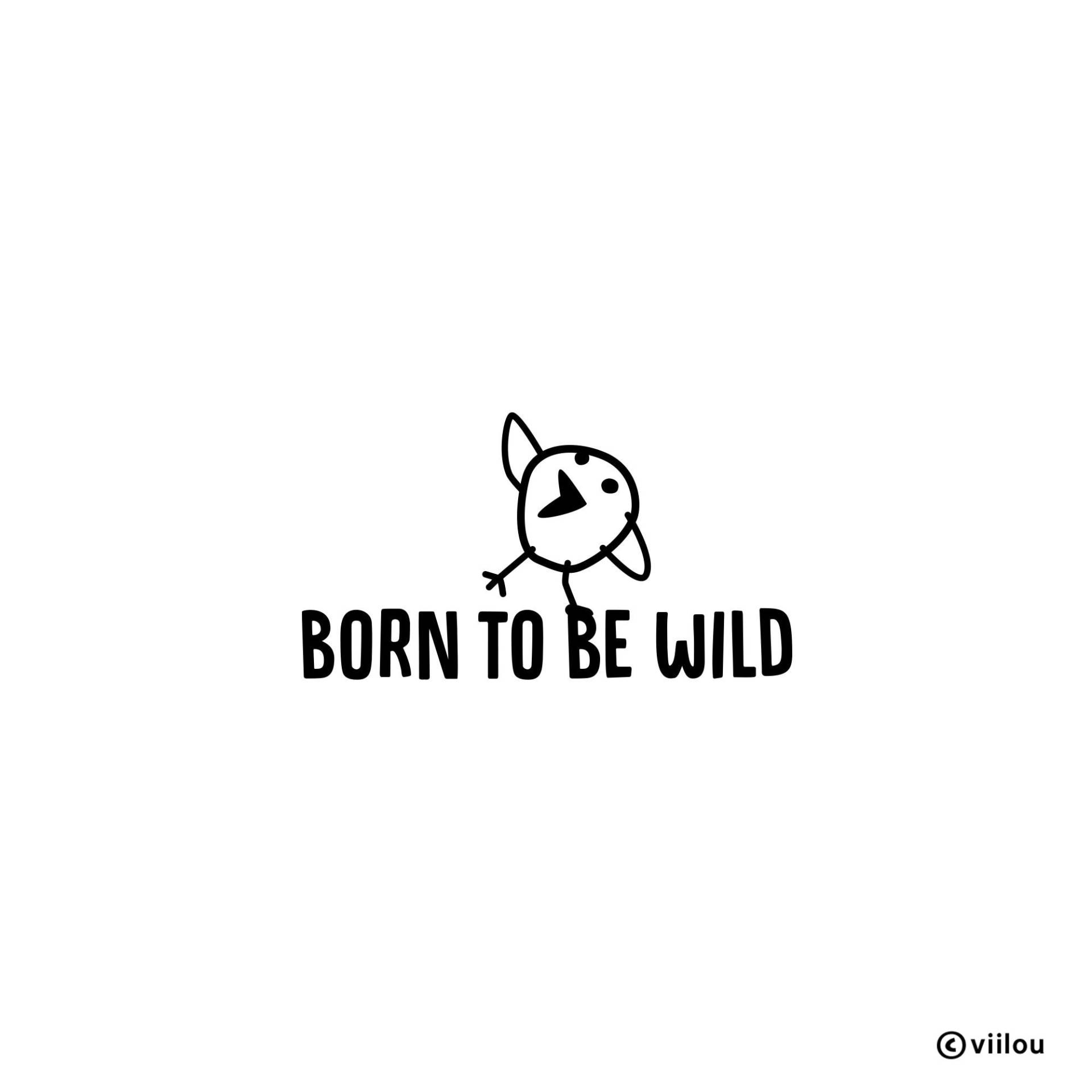 Born To Be Wild Patches Baby Applikationen Vögelchen Aufbügler Geburt Bügelbilder Strampler Diy Kinder Motive von viilou