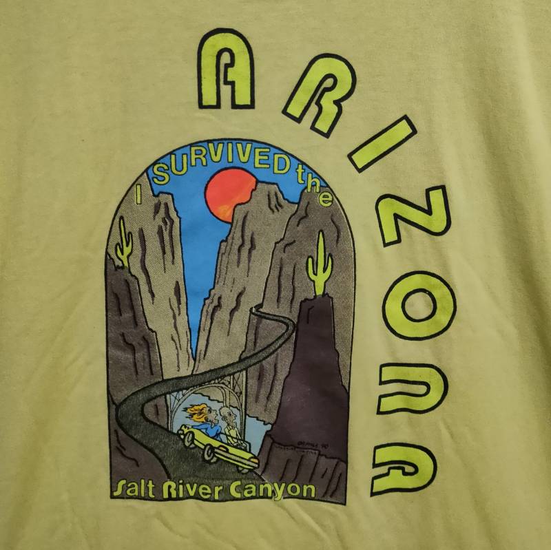 90Er Vintage 1990 Ich Habe Das Salt River Canyon Brücke Arizona Gelb T-Shirt Überlebt von vintageteesonline