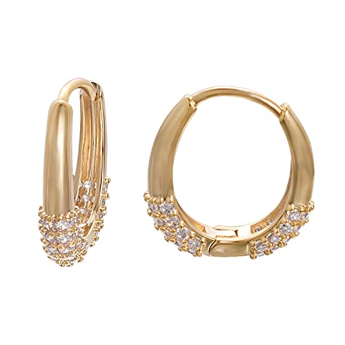 Vissen Ohrringe Damen Vergoldet Zirkonia Edelstahl Creolen Ohrringe Modeschmuck Geschenk für Frauen von vissen