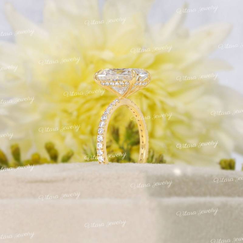 2.7 Ct Strahlender Moissanit Verlobungsring, Ring Mit Strahlendem Schliffmoissanit Solitärringunikatversteckter Heiligenscheinlabrador von vitarajewelry