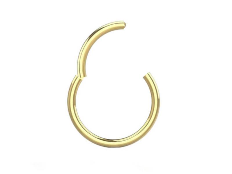 viva-adorno Nasenpiercing Segmentring Clicker Chirurgenstahl Piercing Ring Nasenring Septum, Segment Ring mit Scharnier Lippe Helix Ohrpiercing Septumring von viva-adorno