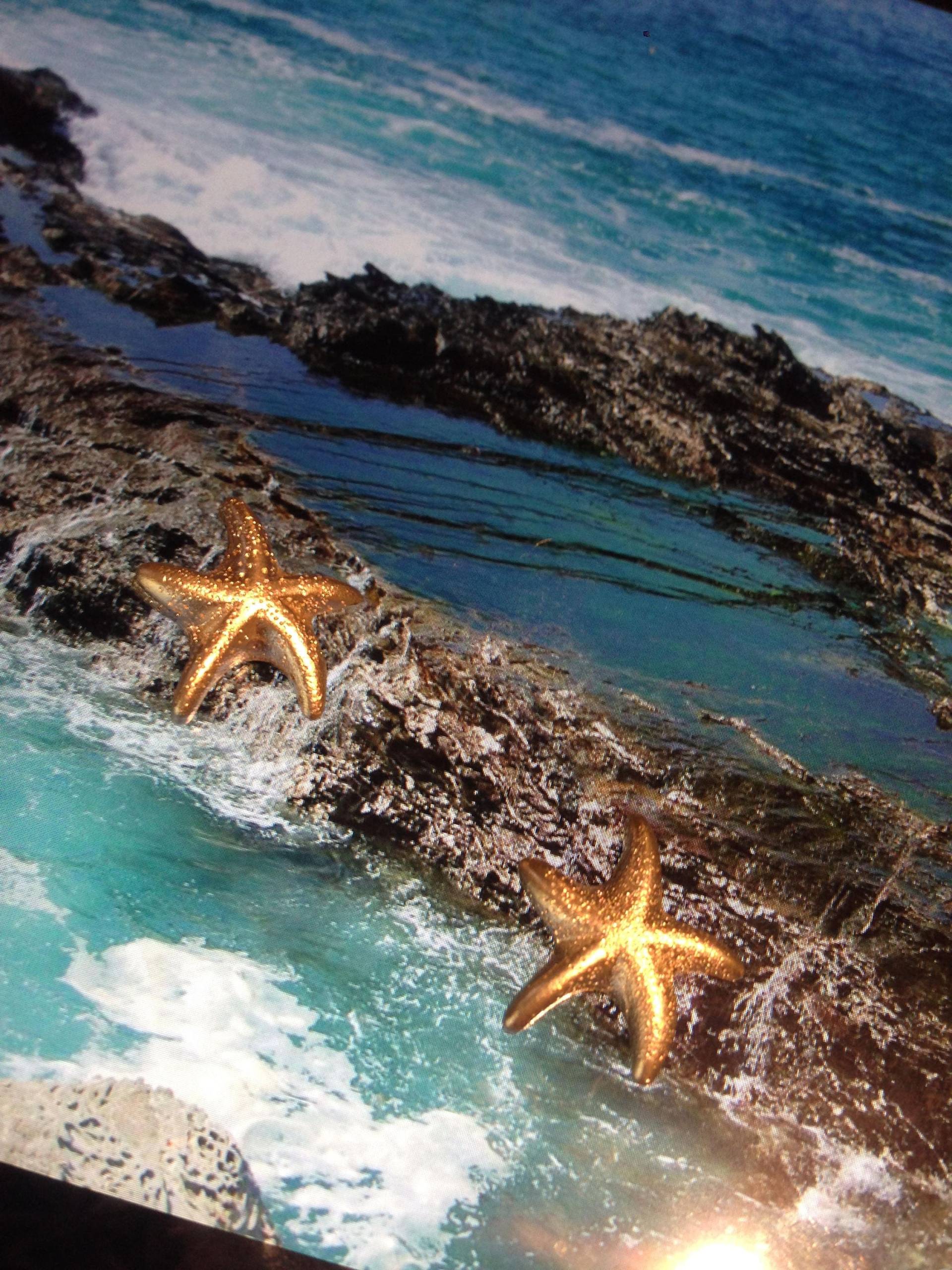 Seestern Ohrstecker Handarbeit Sterling Silber Strand Sommer Sonne Surfen Urlaub Klassiker von vixjewellery