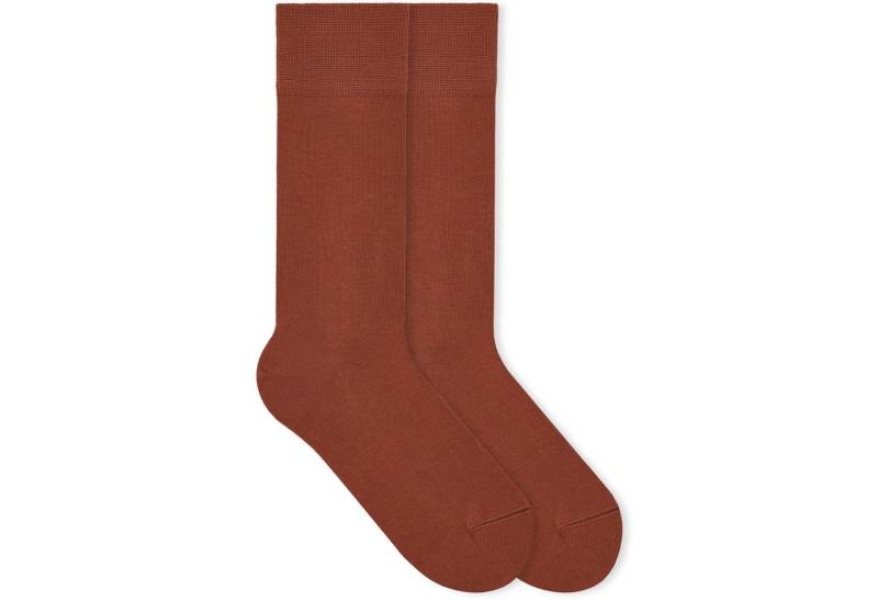 von Jungfeld Socken Herbstfarben Bio-Baumwolle 35-46 Unisex (1-Paar, 1 Paar) lange Socken aus Bio-Baumwolle von von Jungfeld