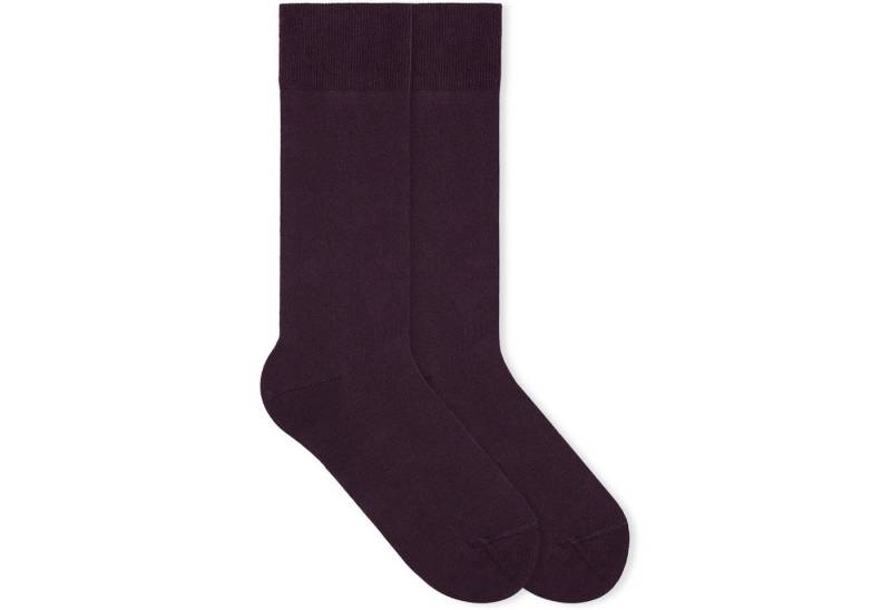 von Jungfeld Socken Herbstfarben Bio-Baumwolle 35-46 Unisex (1-Paar, 1 Paar) lange Socken aus Bio-Baumwolle von von Jungfeld