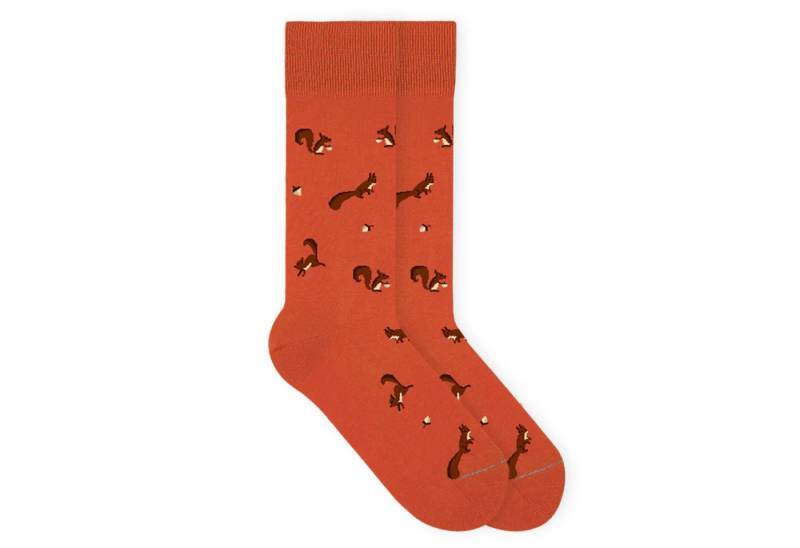 von Jungfeld Socken Eichhörnchen Icon Bio-Baumwolle 35-46 Unisex (1-Paar, 1 Paar) Motivsocken aus Bio-Baumwolle von von Jungfeld