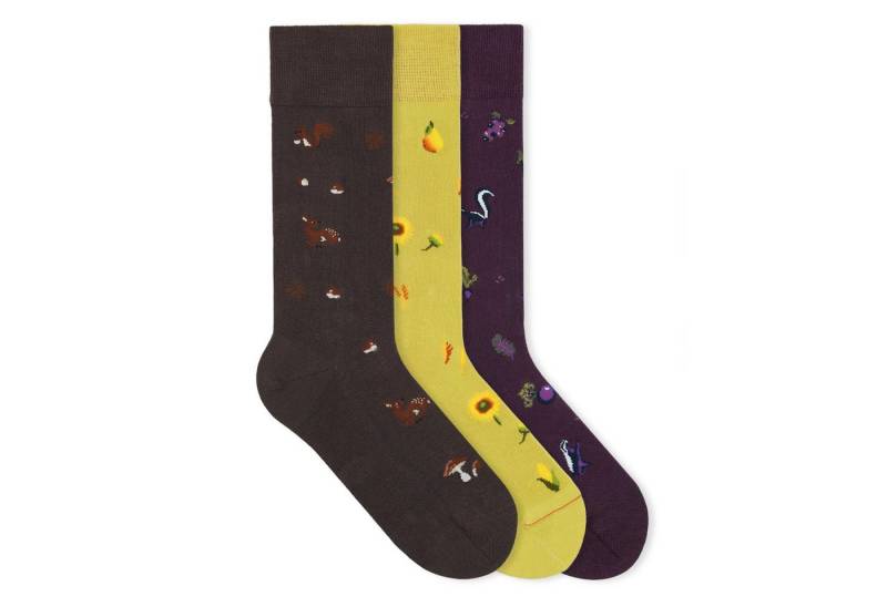von Jungfeld Socken Icons Socken-Set Bio-Baumwolle 35-46 Unisex (3-Paar, 3 Paar) Motivsocken aus Bio-Baumwolle von von Jungfeld