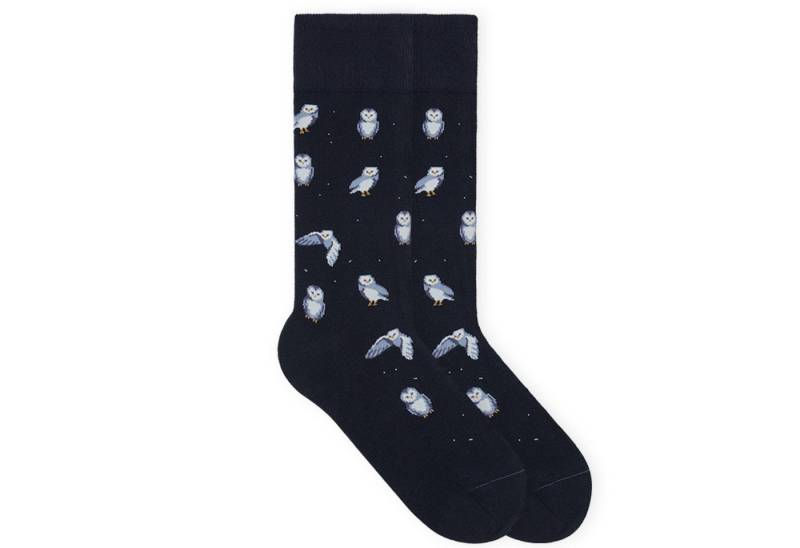 von Jungfeld Socken Best of Icons Bio-Baumwolle 35-46 Unisex (1-Paar, 1 Paar) Motivsocken aus Bio-Baumwolle für Damen & Herren von von Jungfeld