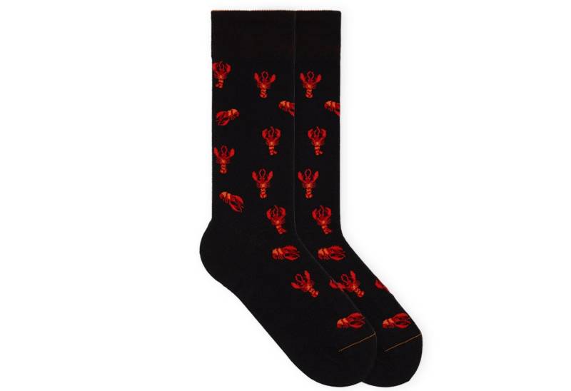 von Jungfeld Socken Best of Icons Bio-Baumwolle 35-46 Unisex (1-Paar, 1 Paar) Motivsocken aus Bio-Baumwolle für Damen & Herren von von Jungfeld