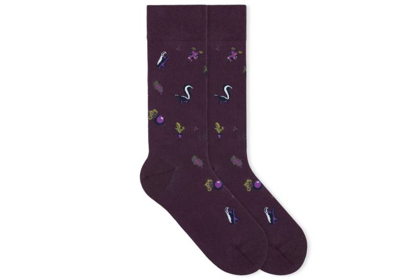 von Jungfeld Socken Herbst Icons Bio-Baumwolle 35-46 Unisex (1-Paar, 1 Paar) Motivsocken aus Bio-Baumwolle von von Jungfeld
