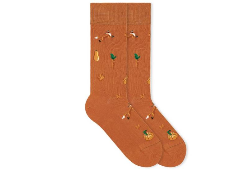 von Jungfeld Socken Herbst Icons Bio-Baumwolle 35-46 Unisex (1-Paar, 1 Paar) Motivsocken aus Bio-Baumwolle von von Jungfeld