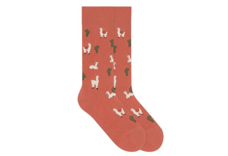 von Jungfeld Socken Lama Icon Baumwoll-Mischung 35-46 Unisex (1-Paar, 1 Paar) Motivsocken aus Bio-Baumwolle von von Jungfeld