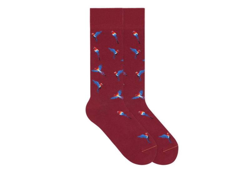 von Jungfeld Socken Papagei Icon Baumwoll-Mischung 35-46 Unisex (1-Paar, 1 Paar) Motivsocken aus Bio-Baumwolle von von Jungfeld