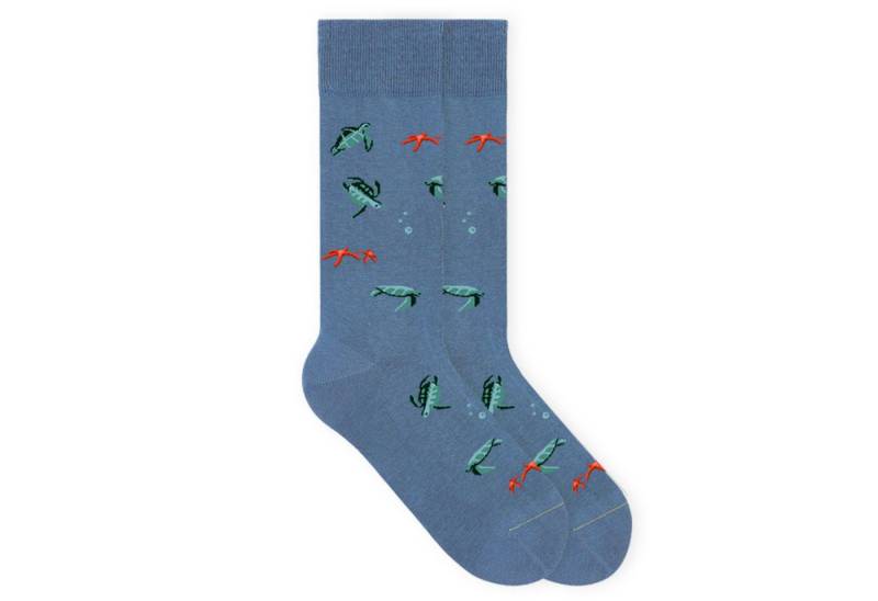 von Jungfeld Socken Schildkröten Icon Bio-Baumwolle 35-46 Unisex (1-Paar, 1 Paar) Motivsocken aus Bio-Baumwolle von von Jungfeld