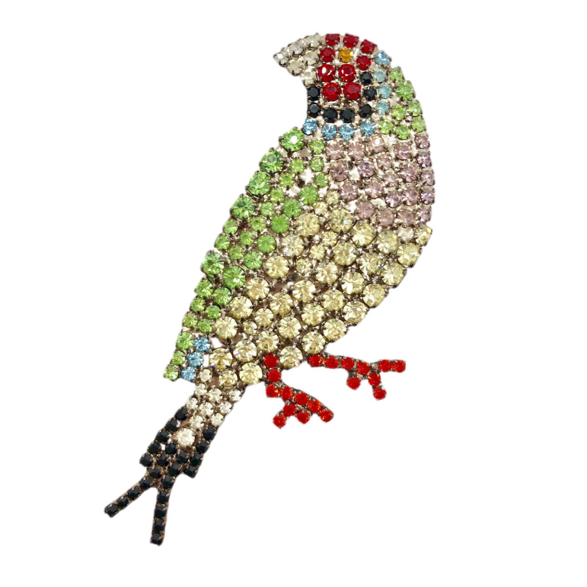 Fink Vogel Pin - Singvogel Brosche/strass Schmuck Gouldian von vonWalhofJewelry