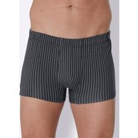 Witt Weiden Herren Pants dunkelgrau-meliert-gestreift von wäschepur men