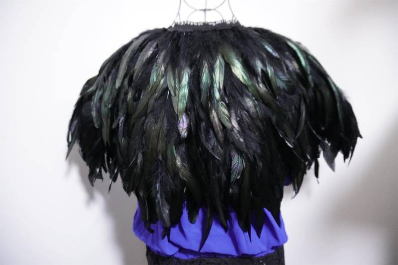 Schwarzer Federnumhang Federjacke Hahnenfeder-Umhang 5 Lagig Karneval Feder Schulter Shrug Schal Schwarzer Federnumhang Federjacke Hahnenfeder-Umhang 5 Lagig Karneval Feder Schulter Shrug Schal von wholesalefeather
