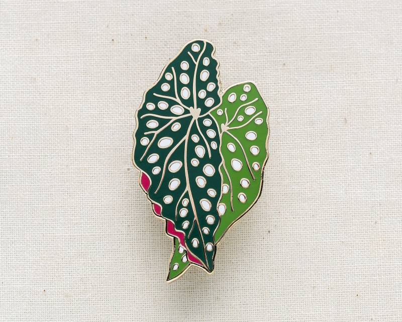 Begonie Pflanze Emaille Pin Begonie Pflanze Emaille Pin von wildship
