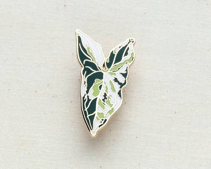 Syngonium Albo Emaille Pin Syngonium Albo Emaille Pin von wildship