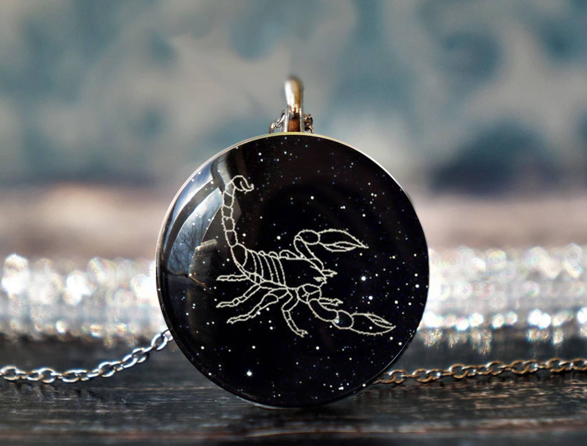 Skorpion Schmuck, Anhänger, Charm, Insekt Geschenk von willowtail