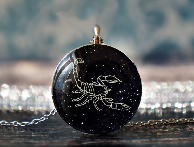 Skorpion Schmuck, Anhänger, Charm, Insekt Geschenk von willowtail