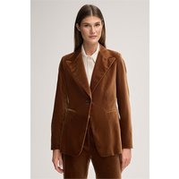 Samt-Blazer in Braun von windsor.
