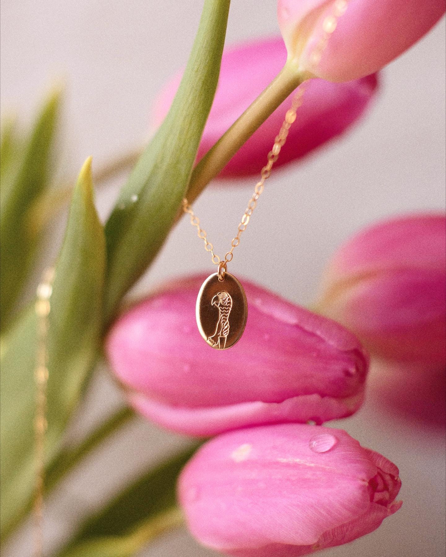 Die Praktisch Perfekte Papagei Halskette, 14K Gold Fill Halskette Die Praktisch Perfekte Papagei Halskette, 14K Gold Fill Halskette von witandwonderco