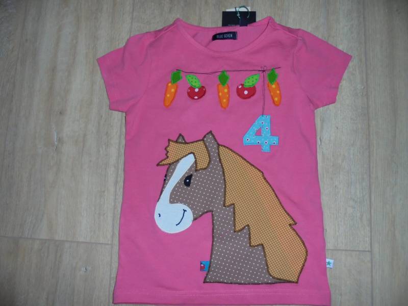 Shirt Benäht Pferde Geburtstag Applikation Diy Handmade von wunschshirt