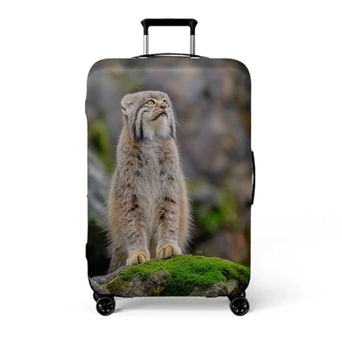 wxlmom Kofferschutzhülle XL Grau Gelb Waschbar,Suitcase Cover Für Kinder Und Erwachsene,Elastischer Spandex-Koffer-Protector,Koffer-Abdeckungen von wxlmom