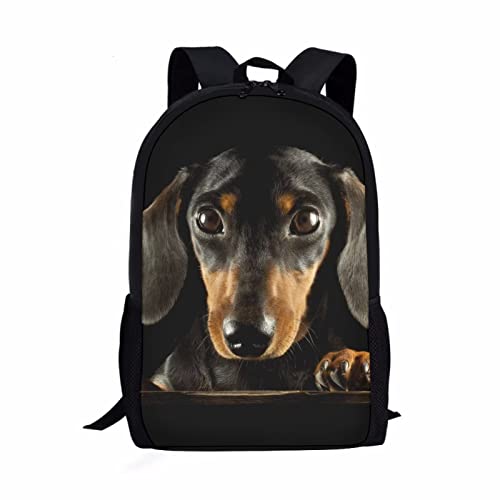 xixirimido Kinder Schultasche 43,2 cm Rucksack für Jungen Mädchen Schulter Büchertasche Rucksack, Dackel Hund, Einheitsgröße, Lässiger Tagesrucksack von xixirimido