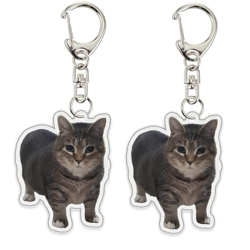 xueneige Lustige Spinnerei Katze Schlüsselanhänger 2Pcs OIIAOIIA Katze Meme Schlüsselanhänger Kawaii Charme Anhänger von xueneige