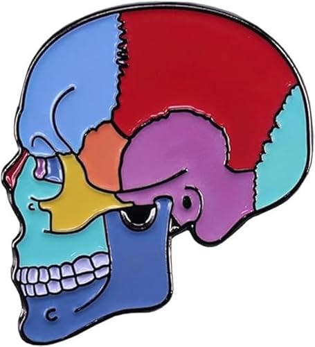 Regenbogen Totenkopf Brosche Abstrakte Anstecknadeln Punk Gothic Art Accessoires Skelett Anstecknadel Horror Goth Brosche Totenkopf Anstecknadel für Rucksäcke Kleidung Hut Deko Männer Geschenk von xutao