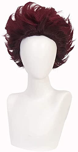Wig Anime Cosplay Anime Cosplay Perücke, Demon Slayer Perücke, Damen Mädchen Herren Jungen Lang Kurzhaar Schwarz Blau Rot Gelb Weiß Perücke mit Perückenkappe, for Halloween, Party, Karneval, Nachtlebe von ydound