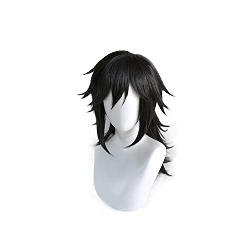 ydound Anime Coer Wig. Dämon Slayer Kimetsu Nein Yaiba Tomioka Giyuu Black Ponytail Perücke Cosplay Kostüm Hitzebeständige Synthetische Haar Halloween Perücken von ydound